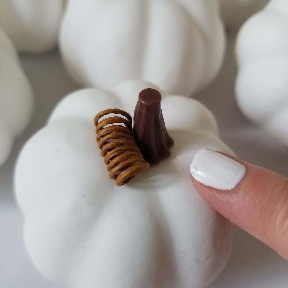 Mini Pumpkins - Picture 4 of 5